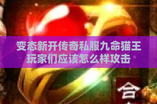 变态新开传奇私服九命猫王玩家们应该怎么样攻击